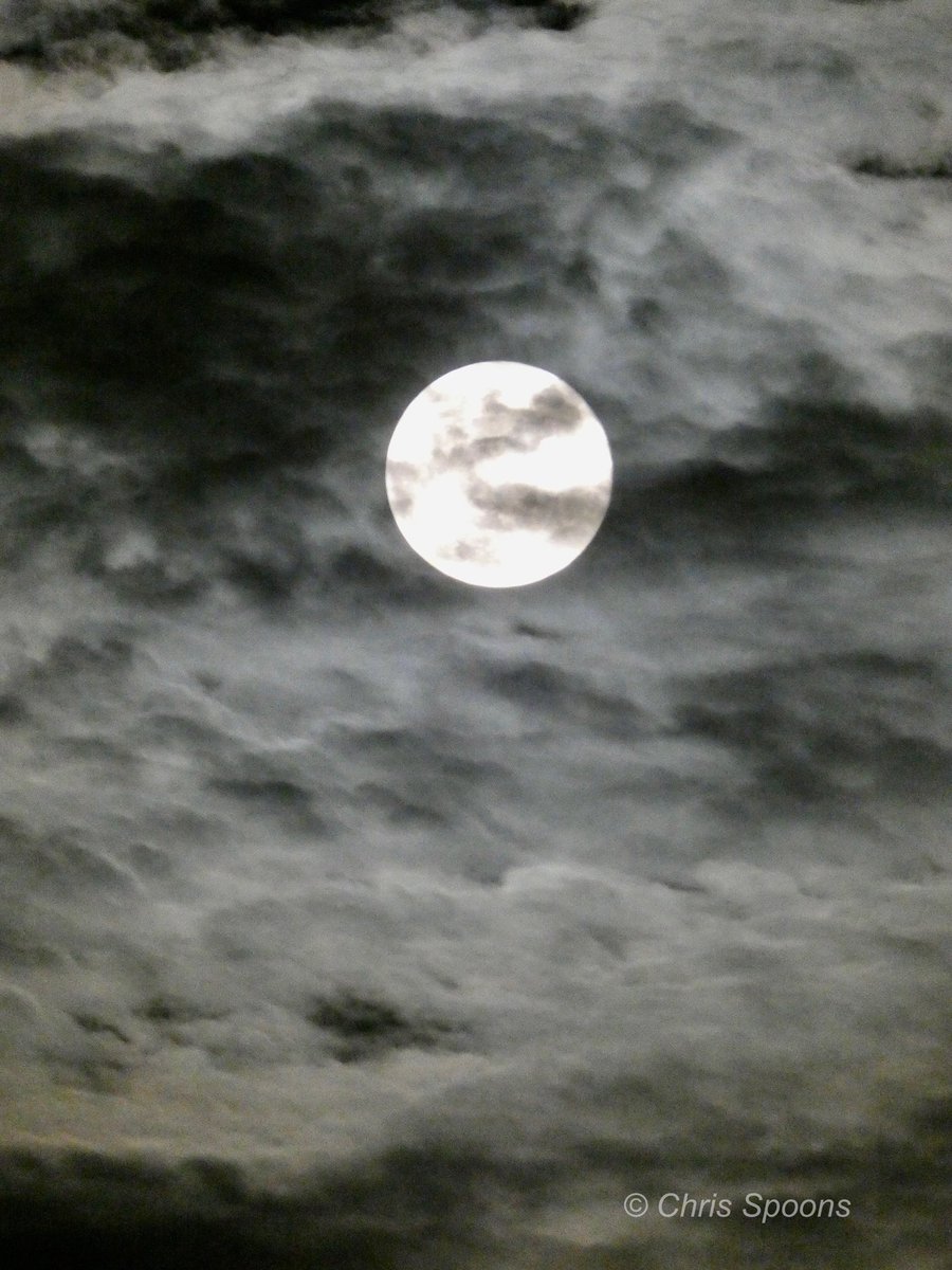 Last night’s moonrise. 😊 

#Photography #FullMoon #BeaverMoon #LookUp #ilwx #weather #ThePhotoHour <a href="/StormHour/">#StormHour</a> <a href="/EarthandClouds/">Earth and Clouds</a> <a href="/EarthandClouds2/">Earth and Clouds II</a> @LensAreLive