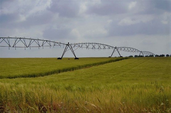 AgriWater4's tweet photo. Giornata di aggiornamento sul Progetto PON Water4AgriFood: “L’irrigazione di precisione – OR3”.
Bologna, 📅19 ottobre 2022 ore 10:00 - Canale Emiliano Romagnolo (CER).
👇👇👇
https://t.co/b5bmCpsHga https://t.co/SxCutI24dP