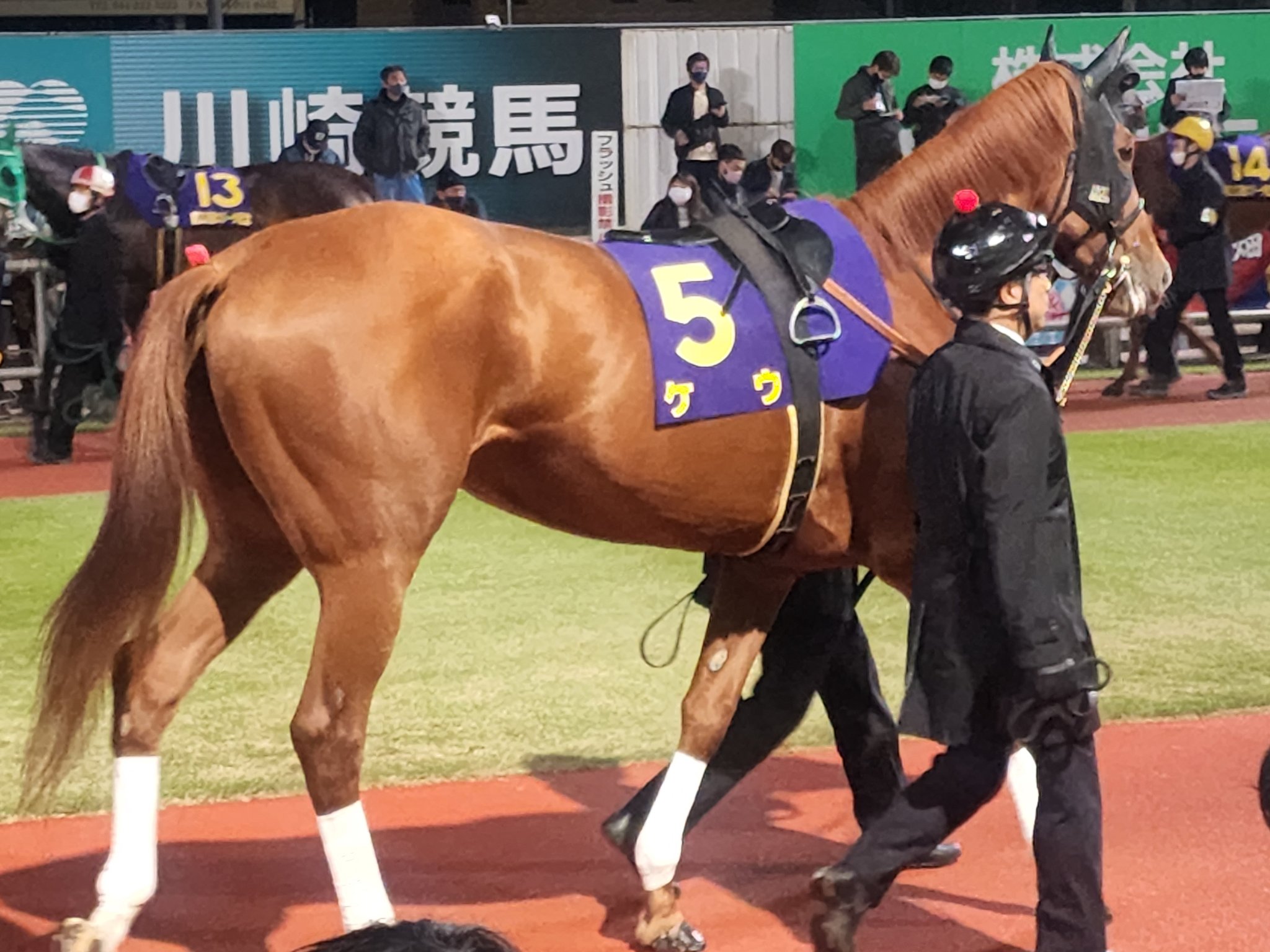 競走馬ゼッケン タニガワ 虚し 激レア 競走馬ゼッケン タニガワ 虚し 激レア