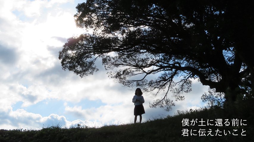 農業法人 Tree Norf Treeandnorf Twitter