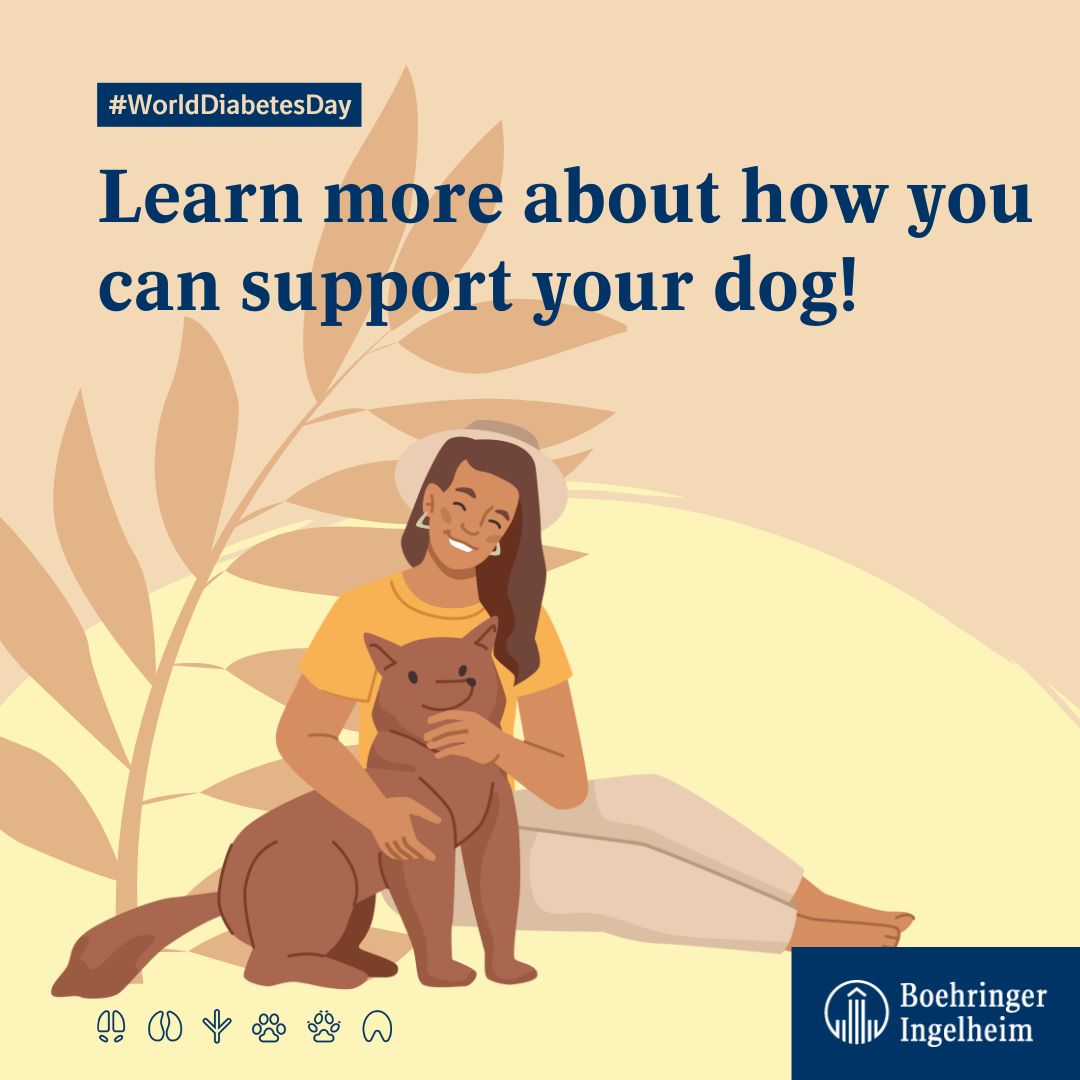 Having your #dog diagnosed with #diabetes can be a shock: diabetes requires careful, lifelong management. But don't worry! Your #veterinarian can guide you through the process. ➡️ bit.ly/3f9AY2h

#WorldDiabetesDay