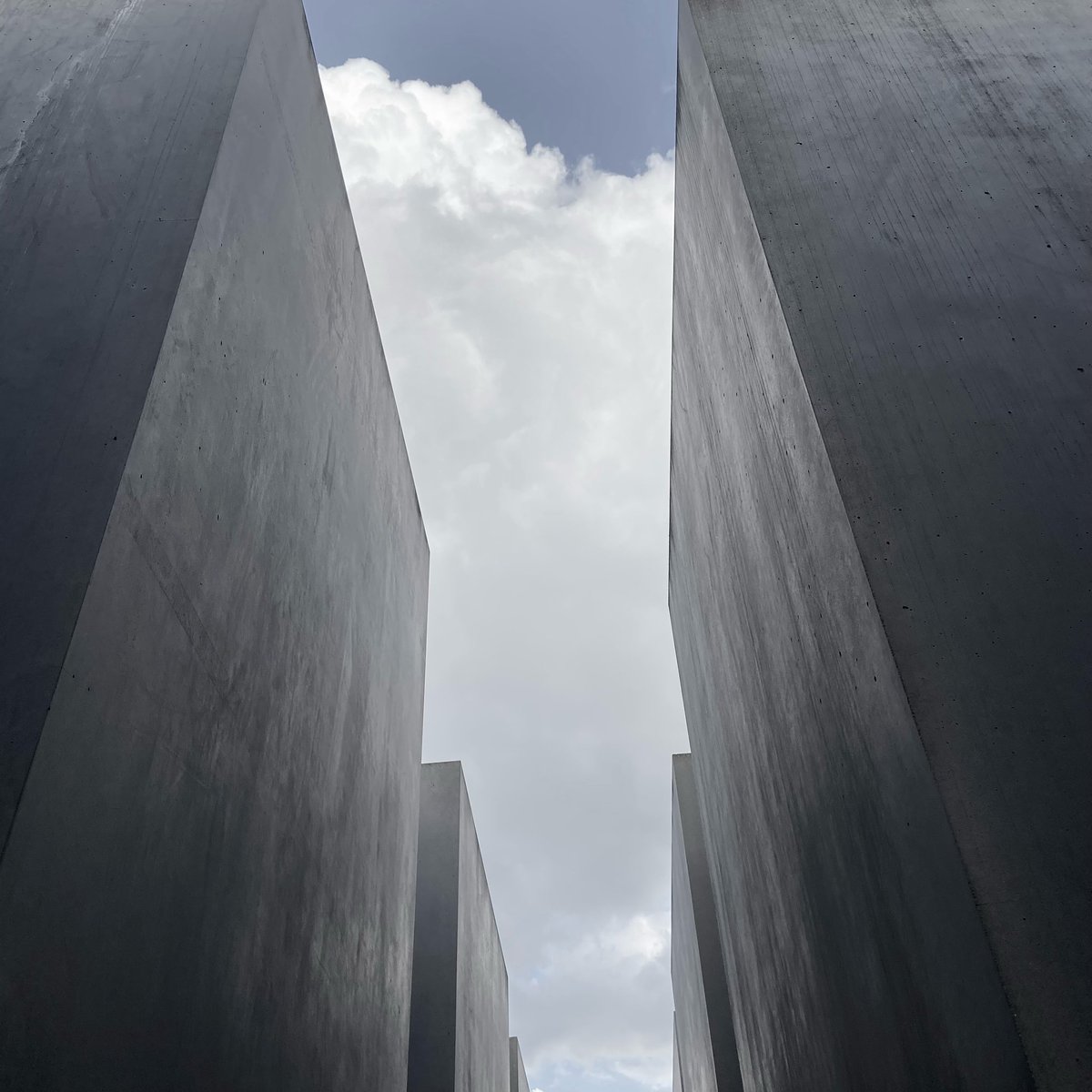 FDP-Fraktion in der BVV Mitte tweet media