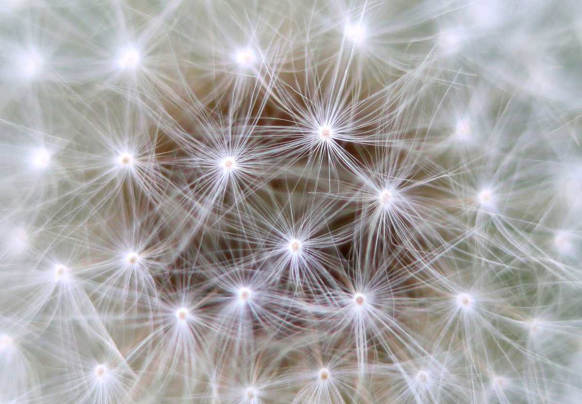 IP Inclusive (@ipinclusive) on Twitter photo New ways of looking at #ADHD: we've been sharing some personal reflections from <a href="/IP_Ability/">IP Ability 💜</a> committee member Sophia Karim. Part i of her article is at bit.ly/3G1NfRd and part ii at bit.ly/3FWpDxn. New ways of looking at #ADHD: we've been sharing some personal reflections from <a href="/IP_Ability/">IP Ability 💜</a> committee member Sophia Karim. Part i of her article is at bit.ly/3G1NfRd and part ii at bit.ly/3FWpDxn.