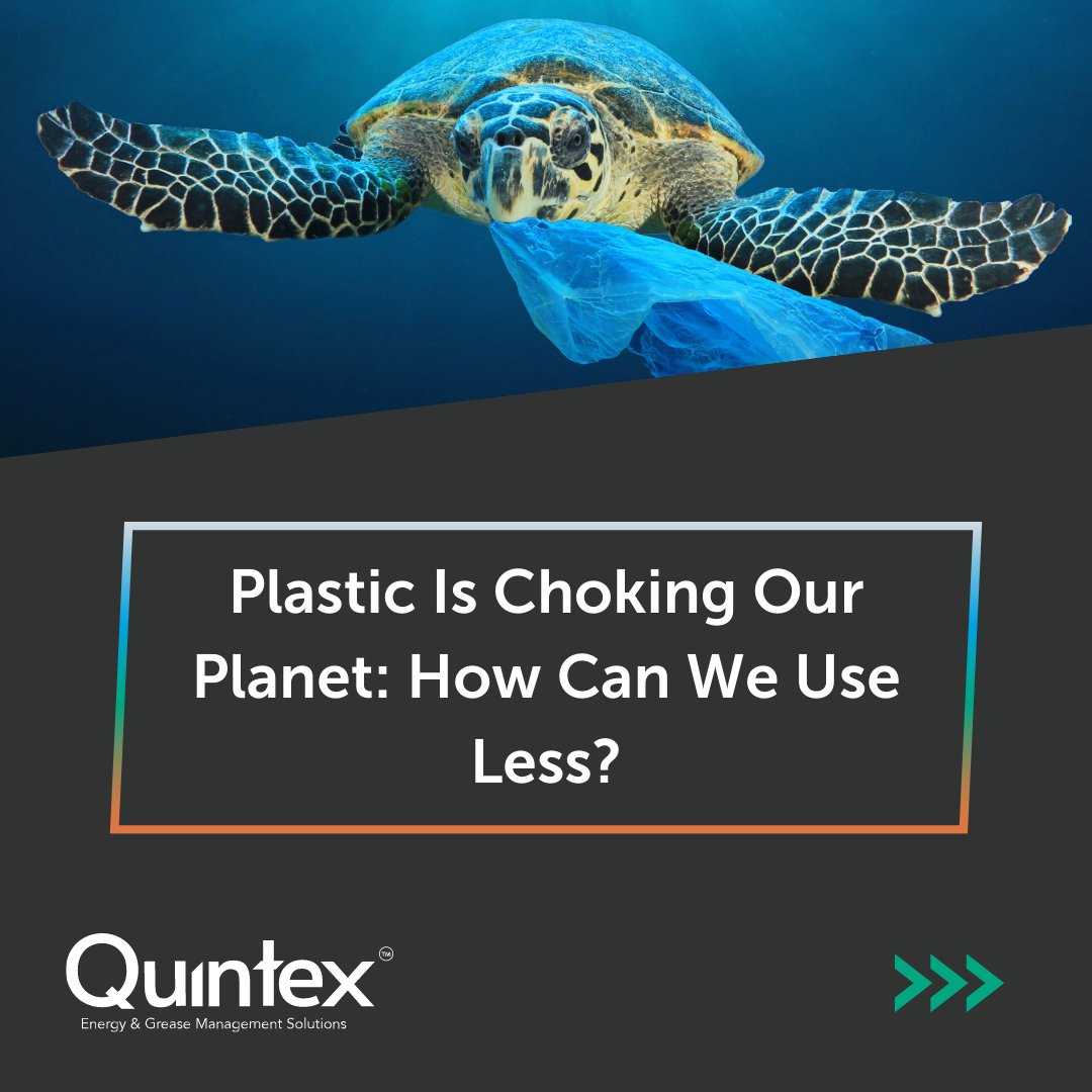 Quintex_Systems's tweet image. Corporations have the influence to make the big changes that are needed, so why not lead by example and make a change today?
Discover how we can help you meet your environmental targets.
quintex.co.uk/about/
#singleuseplastic #savetheplanet