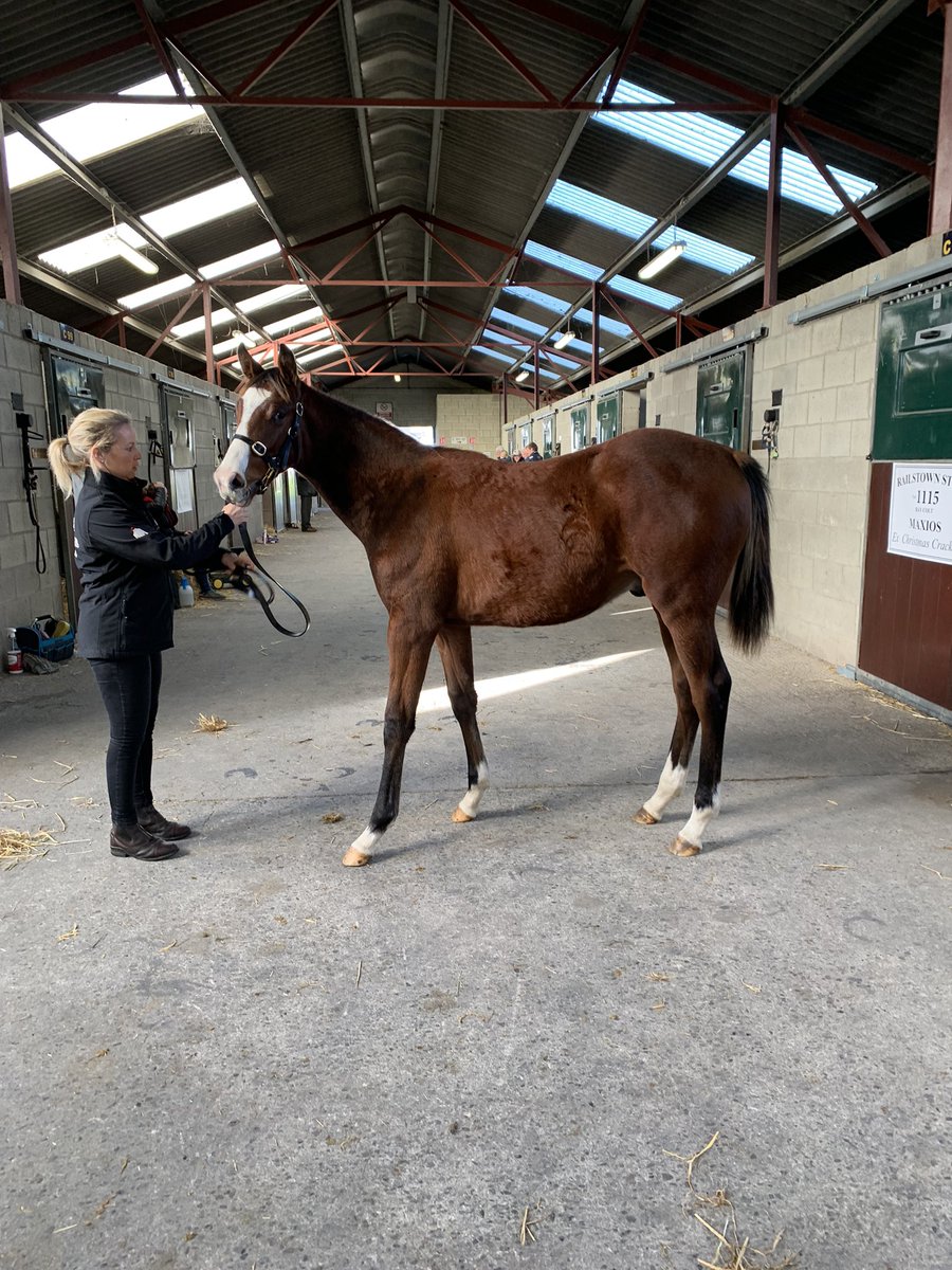 Peter Sullivan tweet media