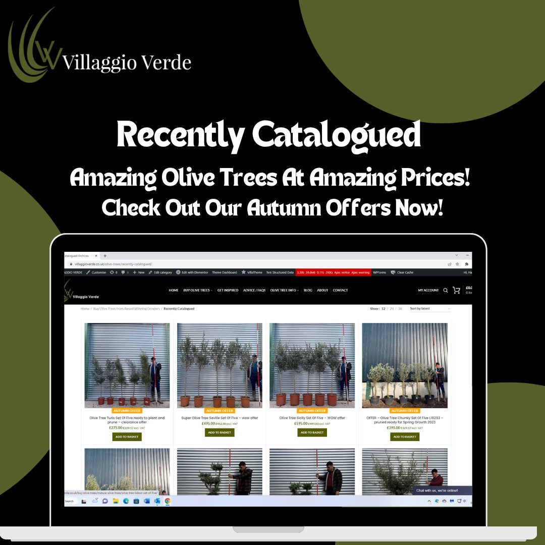 Villaggio Verde tweet media