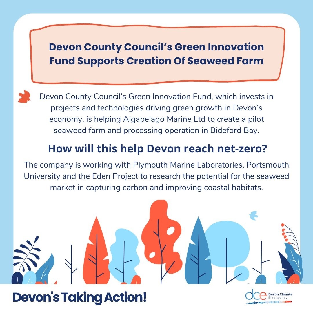 devonclimate's tweet image. Devon's taking action on climate change! 👏

soc.devon.cc/SeaweedFarm_3f…

#DevonActs #NetZeroDevon #SeaweedFarm @DevonCC @PlymouthMarine @EdenProject @portsmouthuni