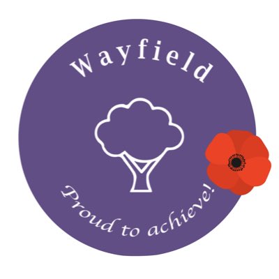 Wayfield Primary School tweet media
