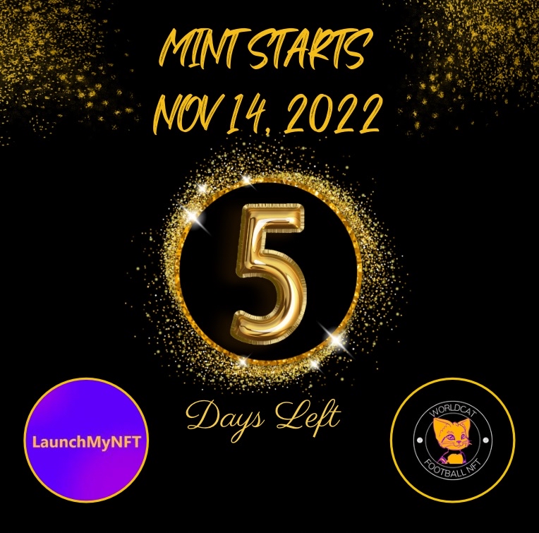 World Cat Football NFT tweet media