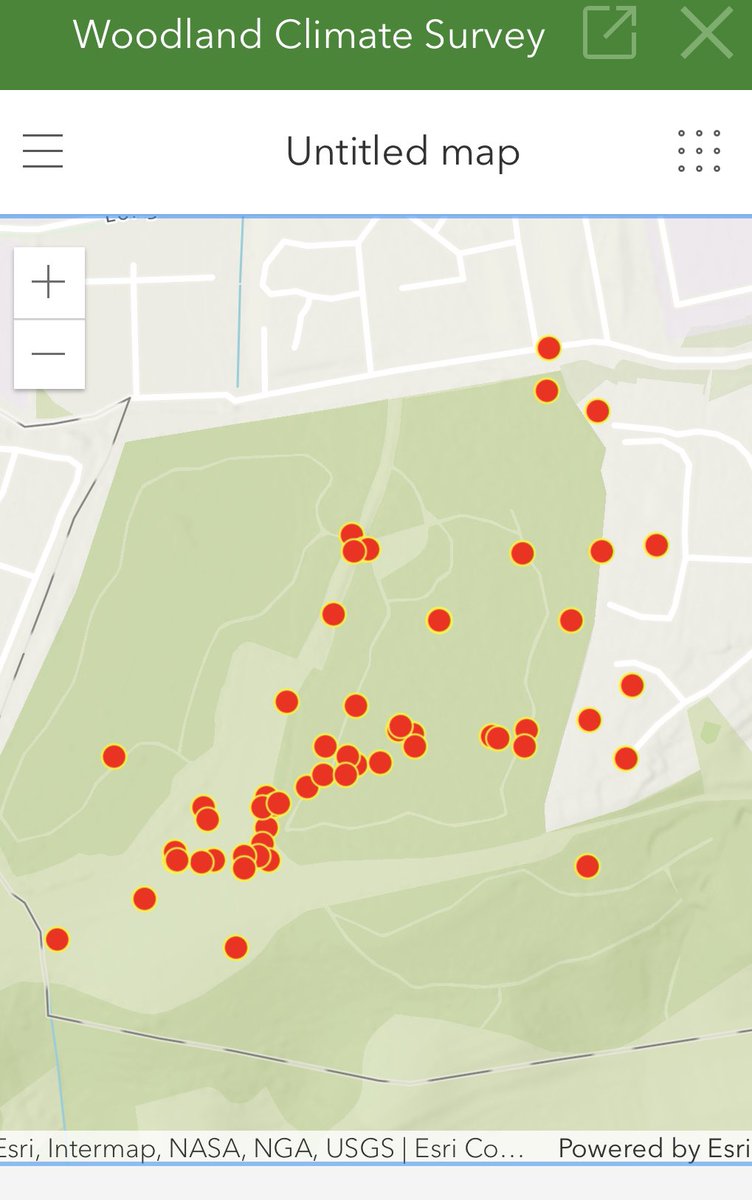 Out in the field again today - collecting woodland microclimate data in our local Stoke Park with @yourCoPCsixth A-level geography students🌲🌧️ using <a href="/ArcGISOnline/">ArcGIS Online</a> <a href="/esriuk/">Esri UK</a> Survey123 📲<a href="/UWEBristol/">UWE Bristol</a> <a href="/harryjwest/">Harry West</a>