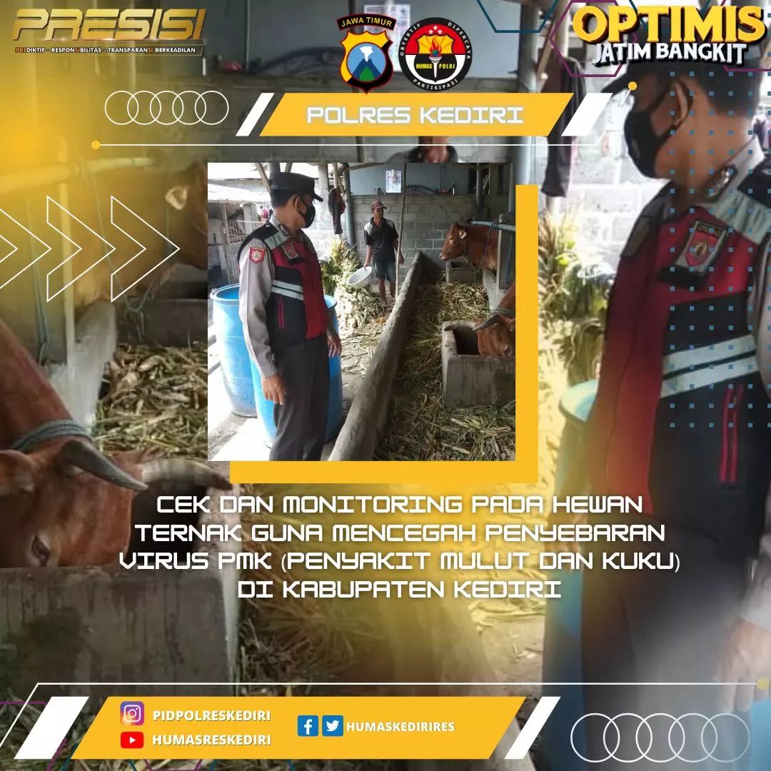 Kepung88's tweet photo. Cek dan Monitoring pada Hewan ternak guna cegah penyebaran virus PMK
#polreskediri #kediri #polripresisi #JogoJawaTimur #JatimBermasker https://t.co/3jT7Af8ONt