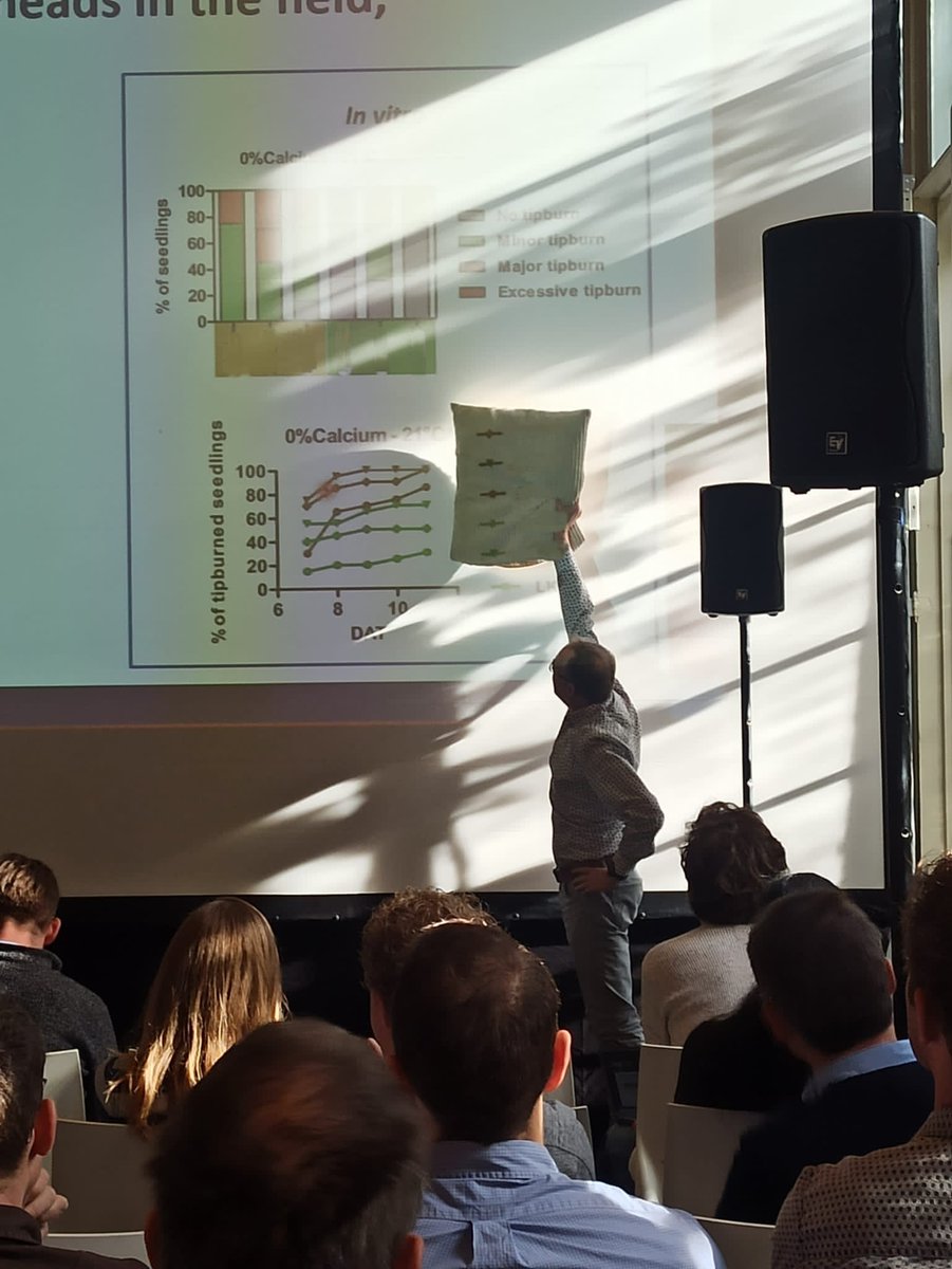 LettuceKnow's tweet photo. Our consortium leader @guidopmi is always ready to help out and will come up with creative solutions in unexpected situations, such as sun the Netherlands?! #LettuceHelp #Jugaad https://t.co/7sB2NRONZT