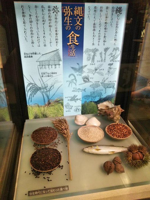 ä»ã¯æ¯ã®ç¹éã¿ããã®ãããã¿ããã§ãã
åããŠãªã®ã§ãšããããåžžèšå±ãåããŸããââ (àž ^Ï^)àž§ âŸâŸðŠ
ãšã«ããè²ããªå±ç€ºããã£ãŠé£œããããŸããã!
äžã«ã¯æã®äººã®é£ç掻ãw
çŸå³ãããã®ãé£ã¹ãããçŸä»£äººã§ããã£ãïœðð