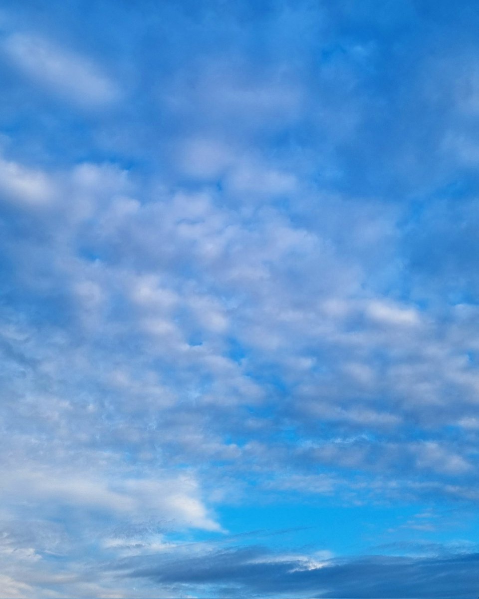 bhangzee's tweet photo. something beautiful is on the horizon 💭

#NatureBeauty
#NaturePhotography
#naturelover 
#skyphotography #skylover 
#bluesky #sunnyday 
#phonephotography 
#letleeiiphotographyinspireyou https://t.co/09pVV1sYB5
