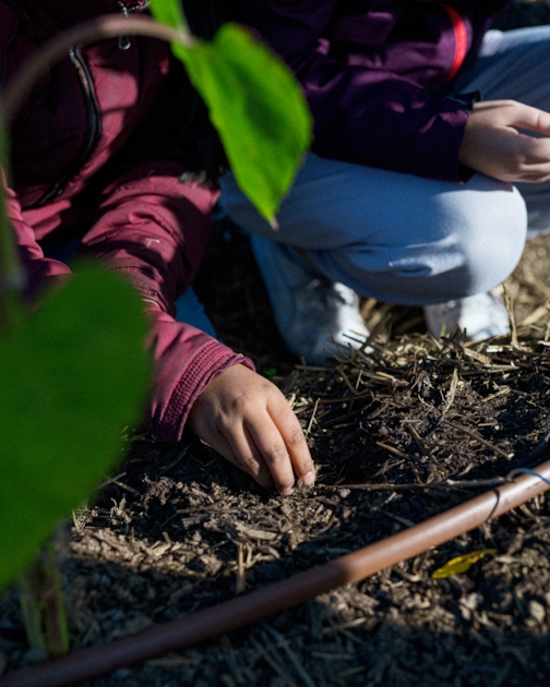 <a href="/fdd_inter/">Fonds de dotation Interconstruction</a> soutient  La Sauge : engagée en faveur de l’#environnement. 
De la graine à l’assiette : programme #educatif  scolaire destiné aux CM1 /CM2 sous la forme d’ateliers ludiques et pratiques avec la création d’un #jardinpotager, en libre-service et accessibles pour à tous.