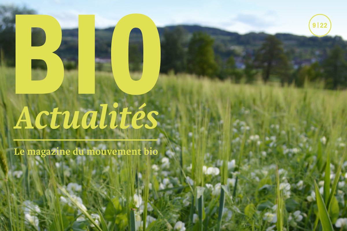 Il y a au centre de la nouvelle édition du Bioactualités la question des chances d’avenir des cultures associées. Si on veut pouvoir contrer le changement climatique, il faut de nouveau des variétés génétiquement diversifiées. bioactualites.ch/actualites/mag…
