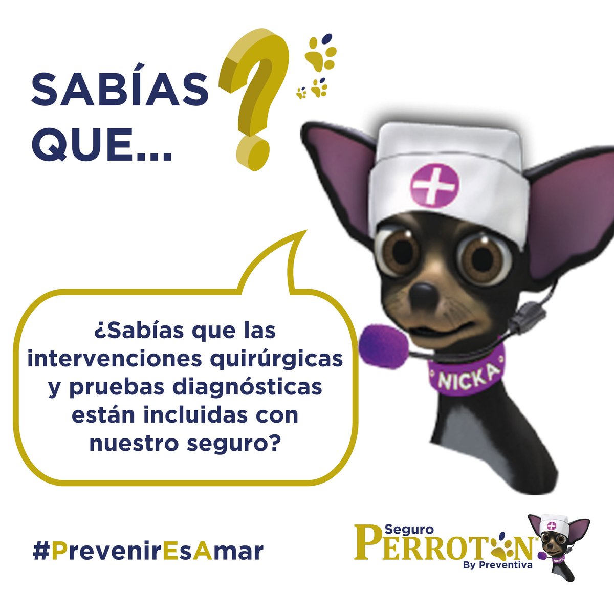 SeguroPerroton's tweet photo. ¡Podrás estar tranquilo cuando vayas a tu veterinario con tu perro! 🐶🩺

Ante cualquier síntoma, sabrás que tu perro estará protegido. Todas las pruebas, consultas e intervenciones estarán cubiertas por su seguro  ❤️‍🩹

Y por menos de 1€ al día! 🤩👉 https://t.co/hvatdccvjM https://t.co/eVru0OJLiD