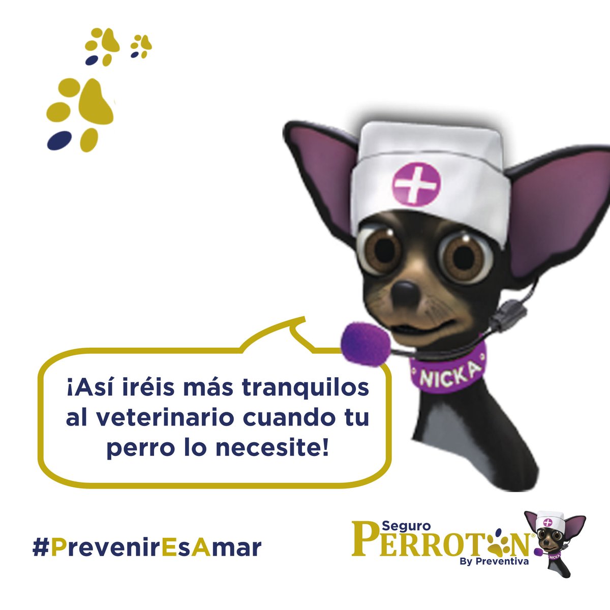 SeguroPerroton's tweet photo. ¡Podrás estar tranquilo cuando vayas a tu veterinario con tu perro! 🐶🩺

Ante cualquier síntoma, sabrás que tu perro estará protegido. Todas las pruebas, consultas e intervenciones estarán cubiertas por su seguro  ❤️‍🩹

Y por menos de 1€ al día! 🤩👉 https://t.co/hvatdccvjM https://t.co/eVru0OJLiD