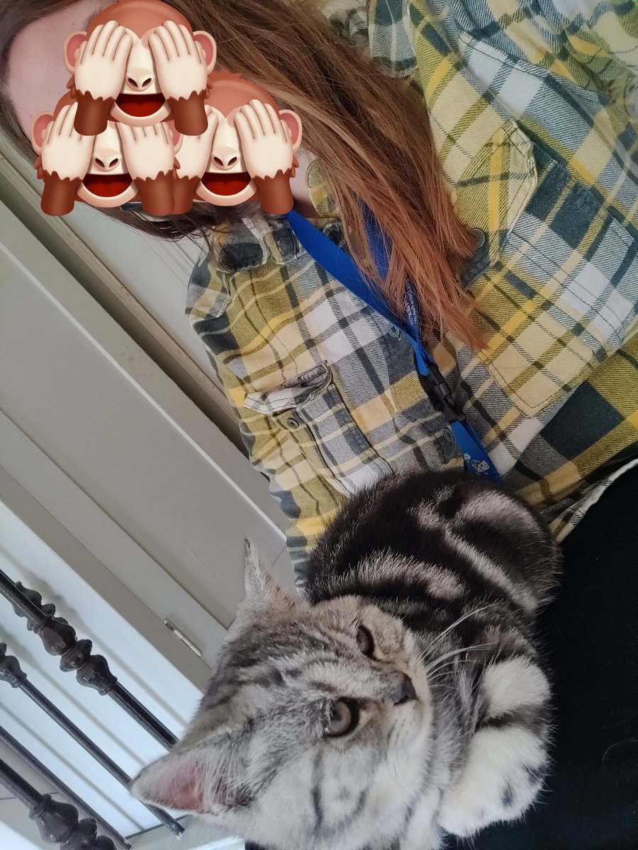 Ich wollte nur kurz Pause machen und ne Katze streicheln