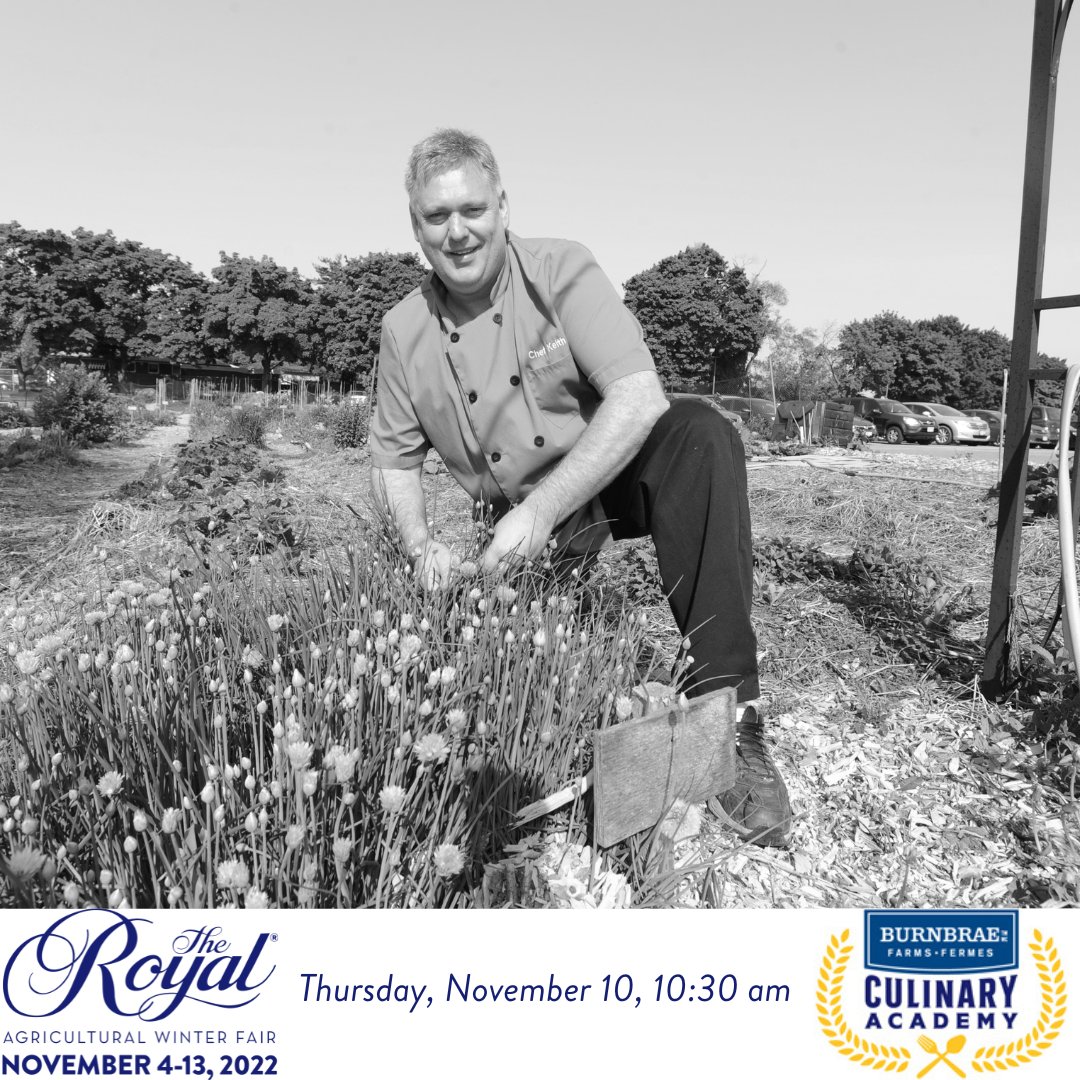 TCIChefs's tweet photo. Catch me tomorrow at the Burnbrae Farms Culinary Academy to celebrate the best of Canadian ingredients at the 100th Royal Agricultural Winter Fair.  Eggs for Dinner: Shakshuka #RAWF100  #RoyalCulinaryAcademy #GetAgricultured #getcrackingattheroyal https://t.co/6J2F1fOI9B
