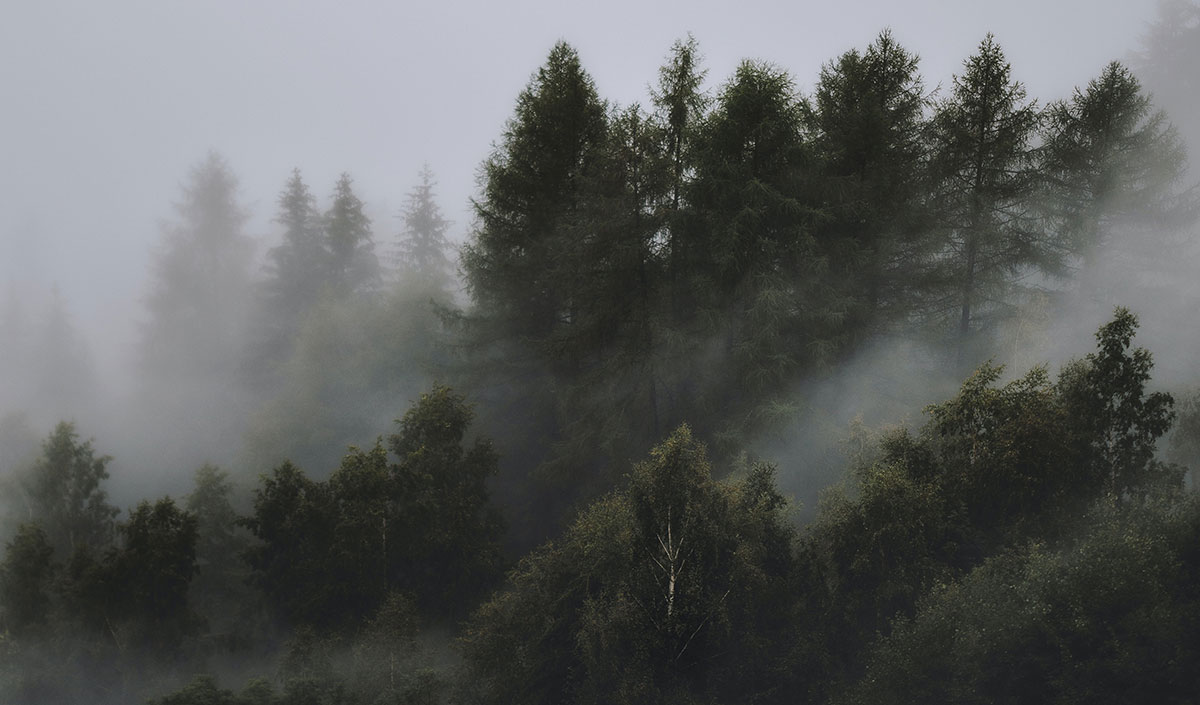 UK Centre for Ecology & Hydrology (@uk_ceh) on Twitter photo NEW on our blog: Dr Chris Huntingford tells us more about a new study <a href="/NatureGeosci/">Nature Geoscience</a> which reveals how global water availability is affected by changes in vegetation cover
ceh.ac.uk/news-and-media…
#NetZero #deforestation #WaterSecurity NEW on our blog: Dr Chris Huntingford tells us more about a new study <a href="/NatureGeosci/">Nature Geoscience</a> which reveals how global water availability is affected by changes in vegetation cover
ceh.ac.uk/news-and-media…
#NetZero #deforestation #WaterSecurity