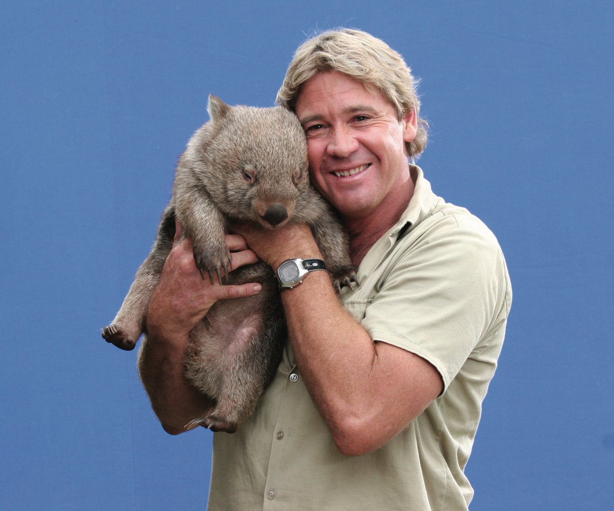 BindiIrwin's tweet image. November 15 is #SteveIrwinDay. I hope you’ll join me in celebrating the world’s greatest Wildlife Warrior.