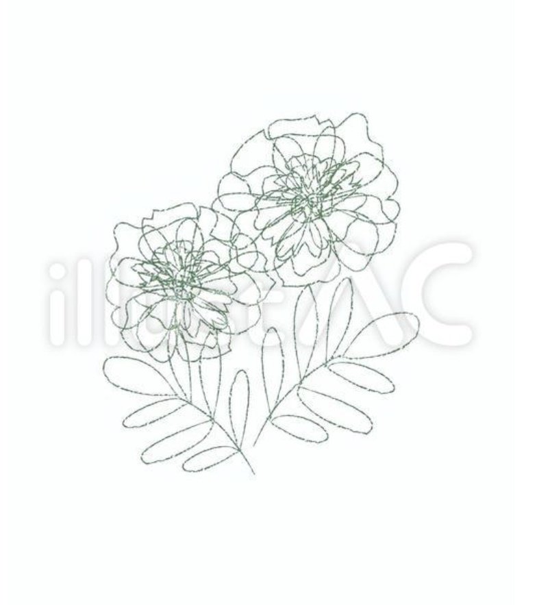 花とねことわたしと マイペースにいきます Sorahaaoi2806 Twitter 花とねことわたしと マイペースにいきます Sorahaaoi2806 Twitter