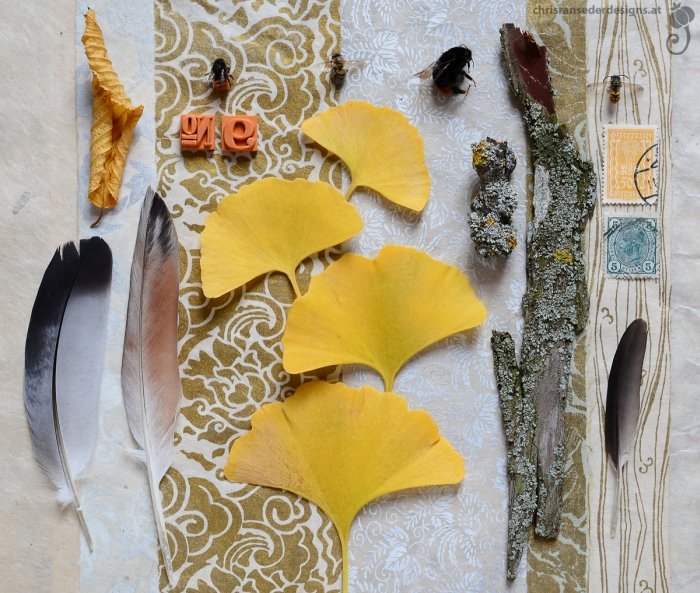 Jetzt lassen in Wien auch die Gingkos langsam ihr strahlend gelbes Blätterkleid fallen. Zeit für ein Stillleben! | Golden autumn.
#NaturePostcards #herbst
