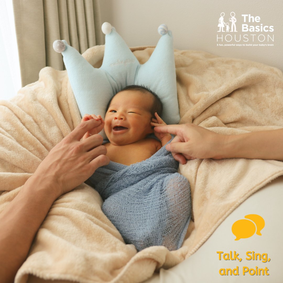 The Basics Houston tweet media