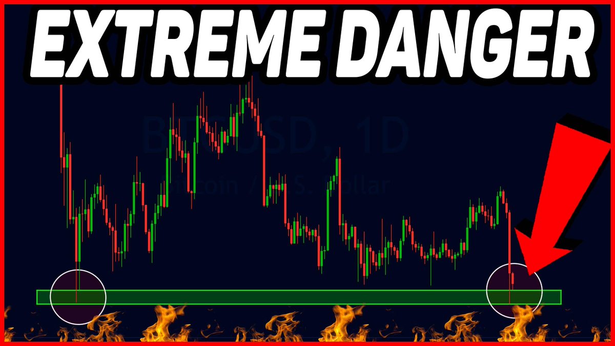 🌸 Qi 馨 tweet media