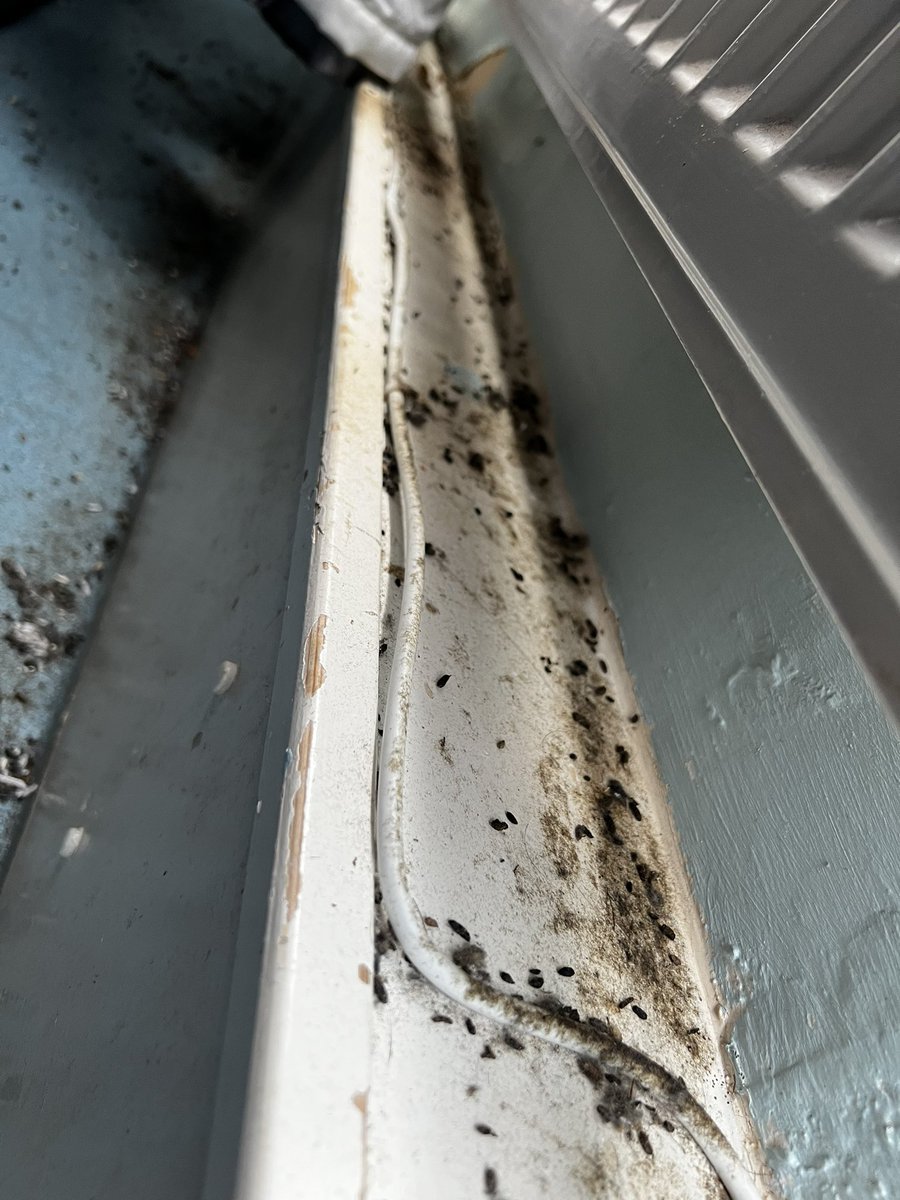 ProjectPest23 tweet picture