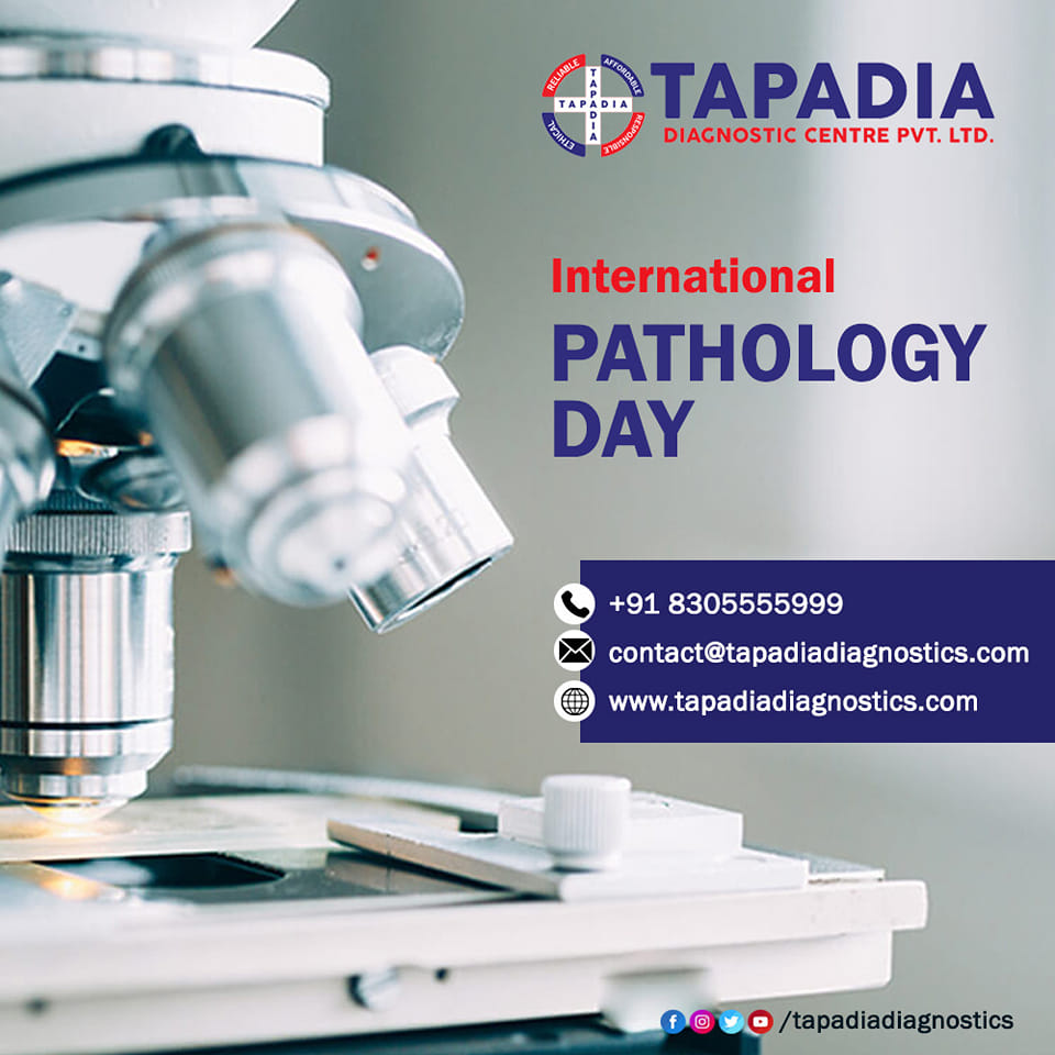 TapadiaDC's tweet photo. Happy International #Pathology Day! 

You may not see us, but behind the curtain there is so much more than numbers on a report.

#TapadiaDiagnostics #Hyderabad https://t.co/APsaZNm3V5