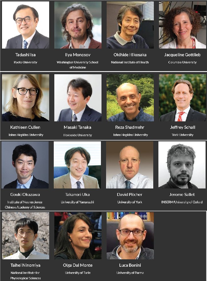 A symposium on Systems Neuroscience
Nov. 30-Dec. 2 (zoom)
Sensory integration &amp; action, motivation, learning, decision-making, social cognition
Free registration (deadline Nov. 18)

sites.google.com/nips.ac.jp/int…