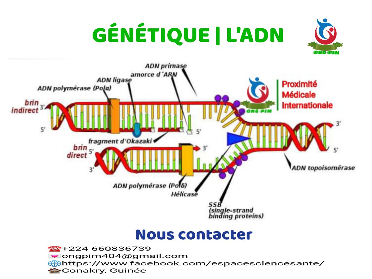 facebook.com/espacesciences…

#ÉducationThérapeutique 
#Pharmacie
#Médicaments
#science 
#medical 
#santé 
#viral 
#bio