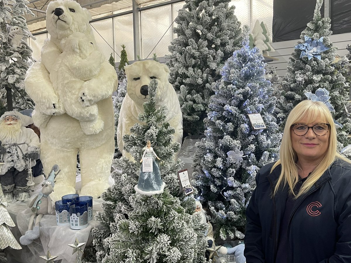 Meet Debbie!  The brains behind our amazing Christmas displays 🎄 Needing some advice?  Pop down and see her for some great tips on how to make your home look Festive this Christmas!