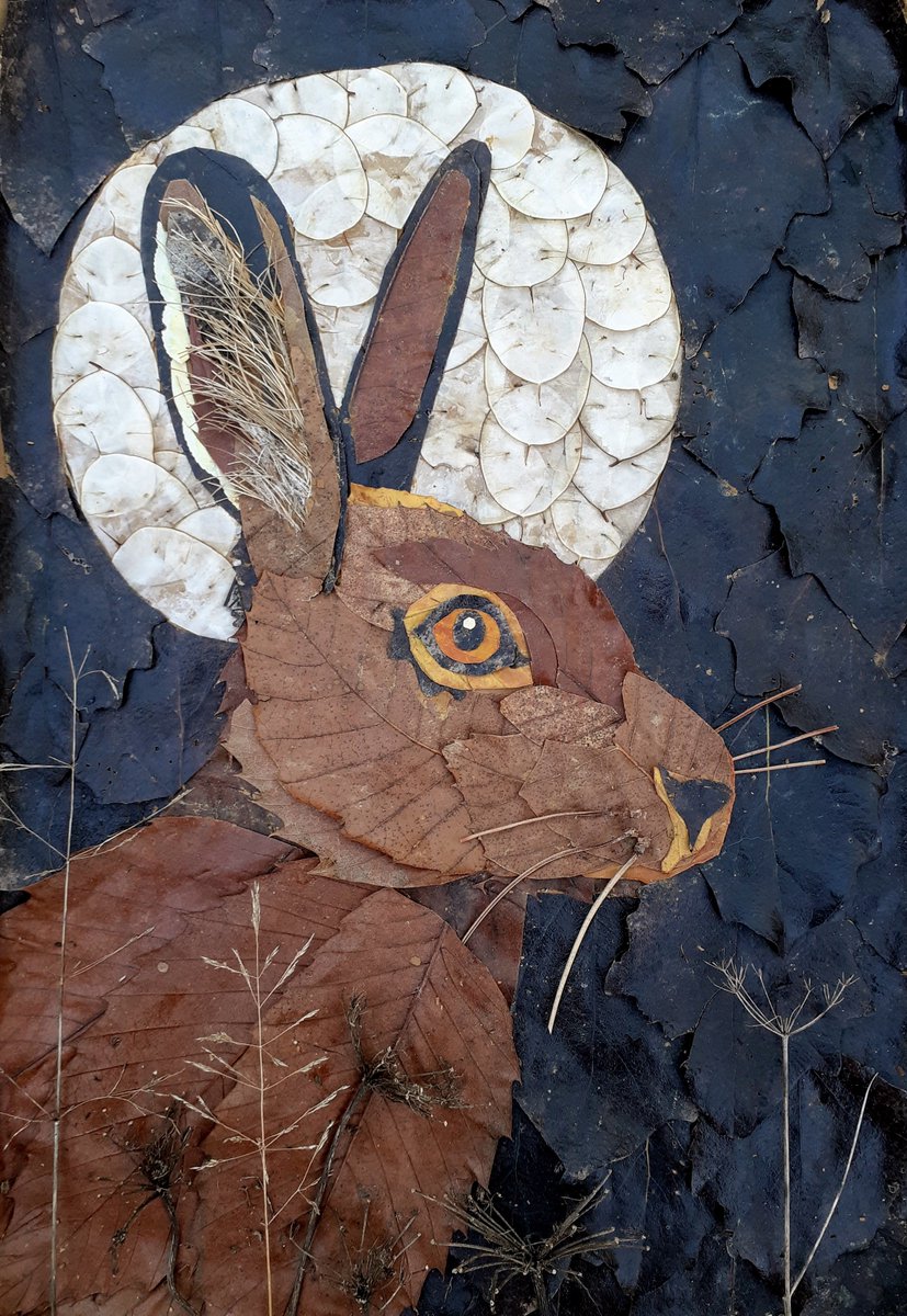 Diana Cotter@linnaeaborealis (@dianacotter5) on Twitter photo I harvested Honesty seedheads the other day. Also known as moonpennies, they were just what I needed to make the full moon behind my Brown Hare!🌚 Compostable Autumn Art made entirely from fallen leaves and seedheads. 🍂🍁🍂#CompostableAutumnArt #BrownHare <a href="/Mammal_Society/">Mammal Society</a> I harvested Honesty seedheads the other day. Also known as moonpennies, they were just what I needed to make the full moon behind my Brown Hare!🌚 Compostable Autumn Art made entirely from fallen leaves and seedheads. 🍂🍁🍂#CompostableAutumnArt #BrownHare <a href="/Mammal_Society/">Mammal Society</a>