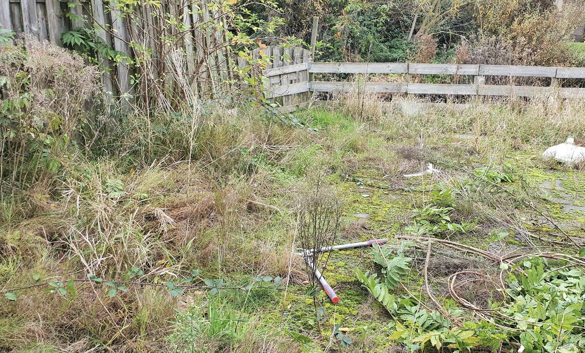 presentbol's tweet image. Tuinklus | Voor &amp;amp; Na 
Dit zijn de foto’s waar wij blij van worden! Present vrijwilligers hebben een tuin flink opgeknapt. 
Dankbaar dat onze vrijwilligers present🎁💜🧡 zijn voor een ander. #vrijwilliger #present #Bollenstreek