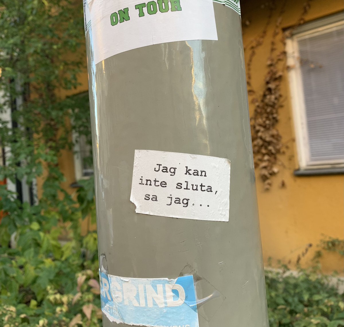 Sofie (@sofiew_) on Twitter photo 