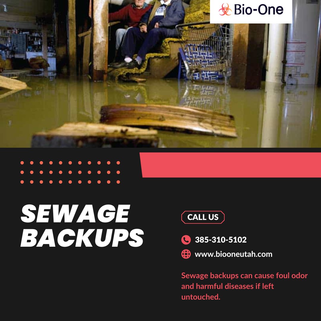 BioOneUtah's tweet image. Bio-One technicians offer a rapid and thorough expertise needed to assess damage and properly restore homes and businesses to pre-accident conditions. Whether you’ve suffered a sewer backup or a breakdown in your neighborhood sewer system.