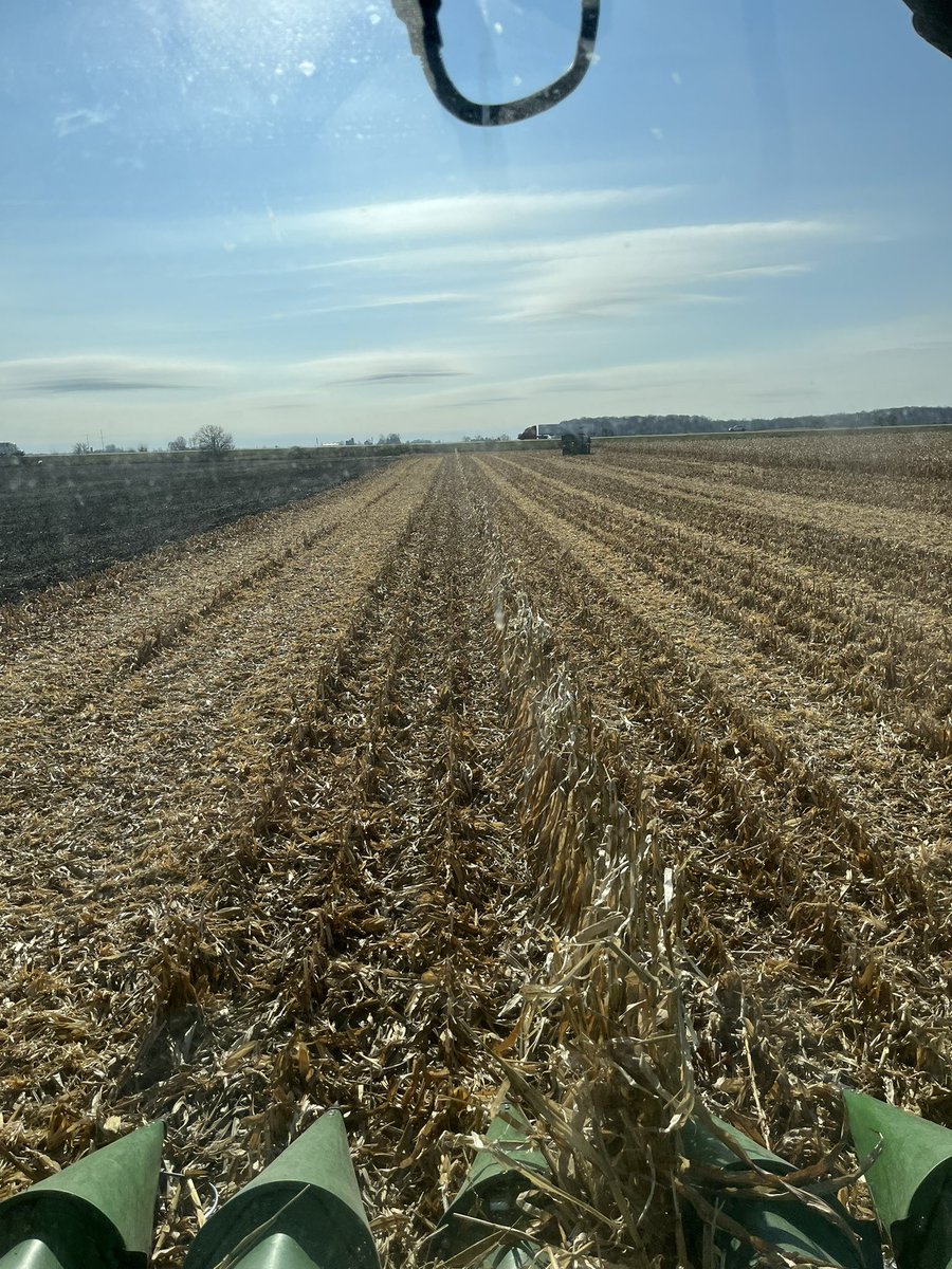 It’s only a row of shame if someone sees it? right next to the interstate 🤣