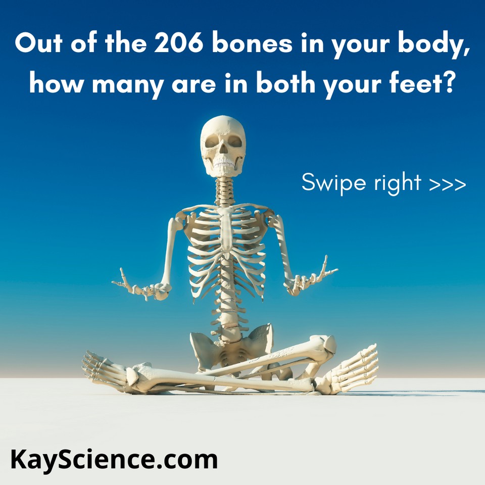 KayScience.com tweet media