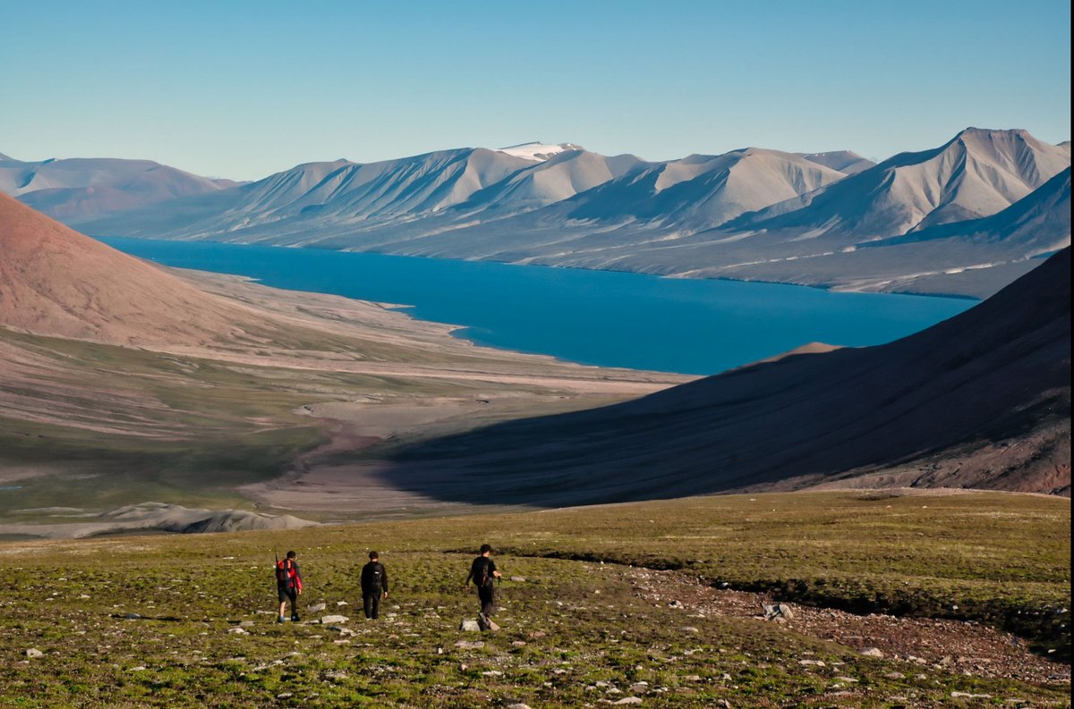 A study led by scientists at @IUPUI with colleagues in the UK has found the evolution of tree roots may have driven mass extinction events over 300 million years ago: go.iu.edu/4Cy6