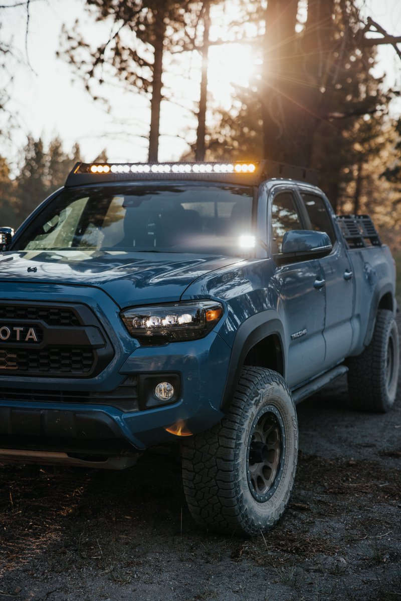 Cali Raised LED tweet media