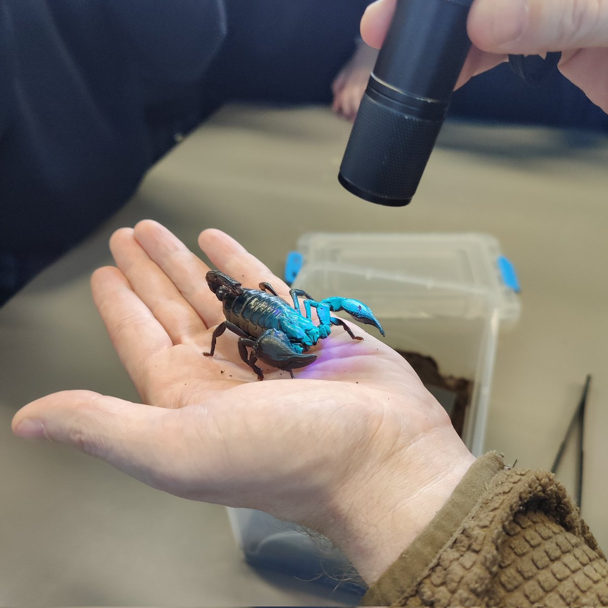 CB - Science tweet media