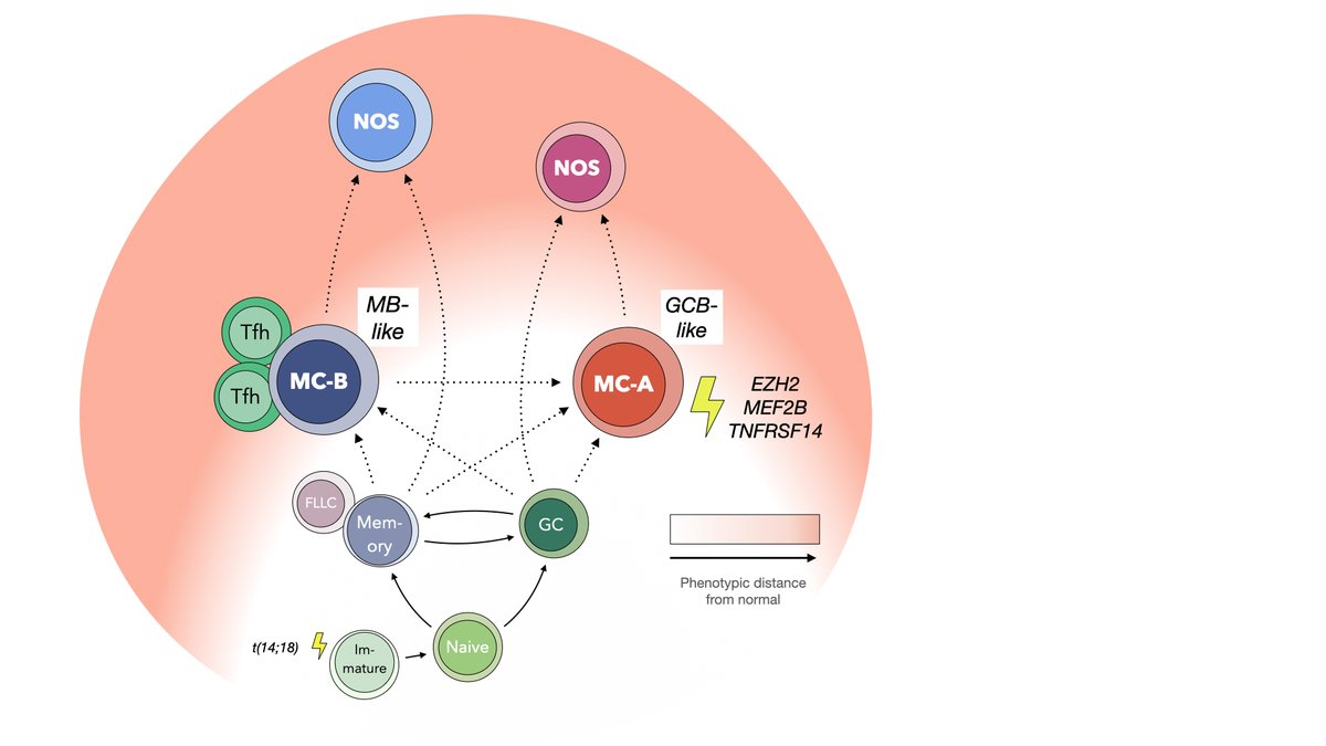 Check out our recent <a href="/NatureComms/">Nature Communications</a> paper on #masscytometry / #CyTOF analysis of 155 follicular lymphoma samples. rdcu.be/cZjMb
This work was done at <a href="/BCCancer/">BC Cancer</a> <a href="/BCCancer_Agency/">BC Cancer</a> and funded by <a href="/tfri_research/">Terry Fox Research Institute</a> and <a href="/SRC_CRS/">Société de recherche sur le cancer</a>. Raw data at flowrepository.org/id/FR-FCM-Z3EL and <a href="/EGAarchive/">EGA archive</a>.