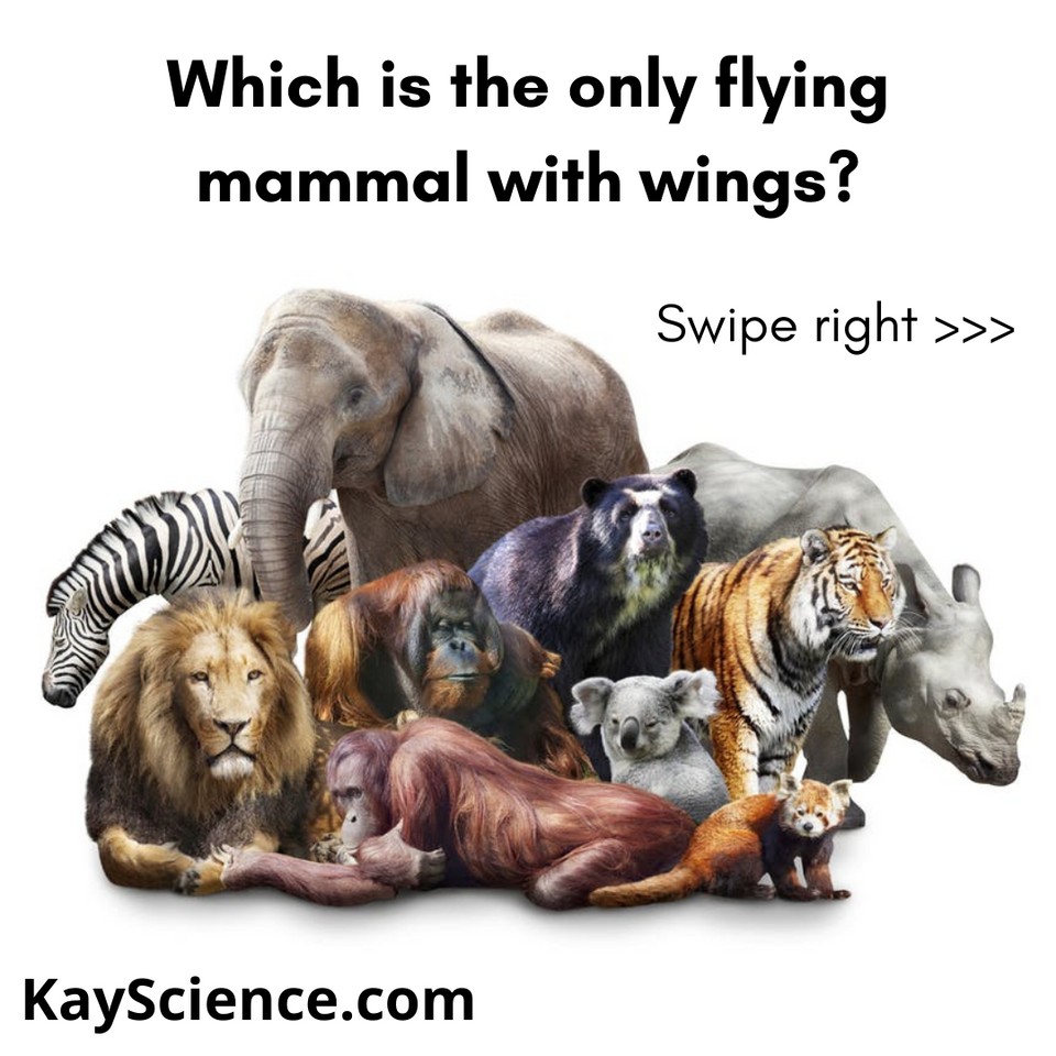 KayScience.com tweet media