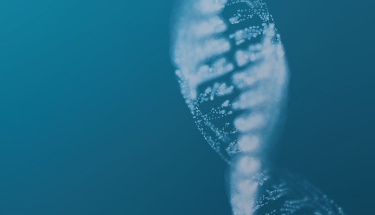 #LifeScience und #Medizintechnik stehen im Mittelpunkt der <a href="/MEDICATradeFair/">MEDICA</a> und Compamed 2022. 15 Fraunhofer- Institute und -Einheiten stellen vom 14.-17. November 2022 ein breites Spektrum an Forschungsprojekten und -ergebnissen aus diesen Bereichen vor. fraunhofer.de/de/veranstaltu…