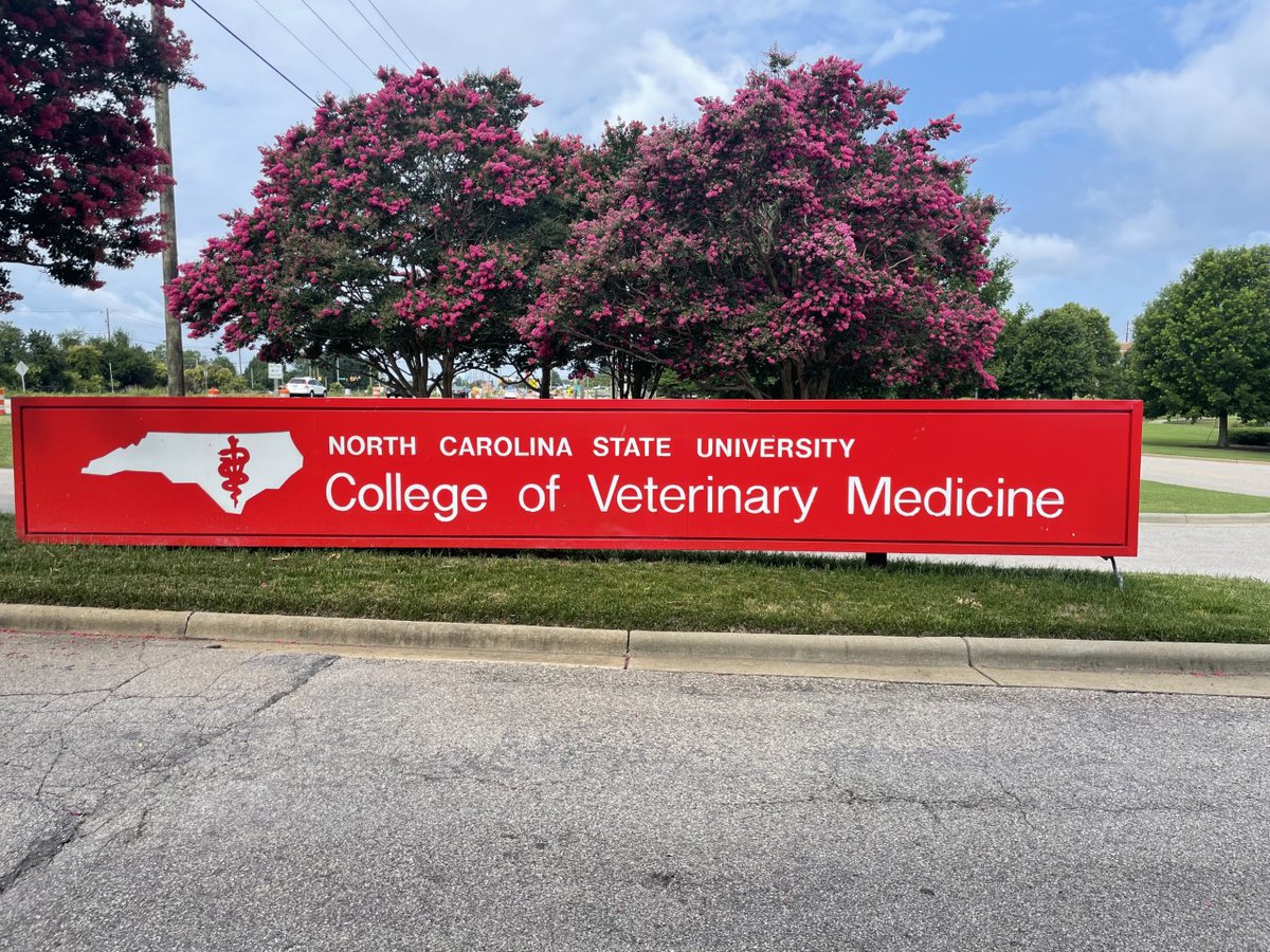 We had a great time at this year’s North Carolina Veterinary Conference (NCVC) in Raleigh, NC! Thank you to all of you that visited our booth. We appreciate the interest and enthusiasm you have for our programs!
Visit ncsuvetce.com for more details.  #CCAT #caninerehab