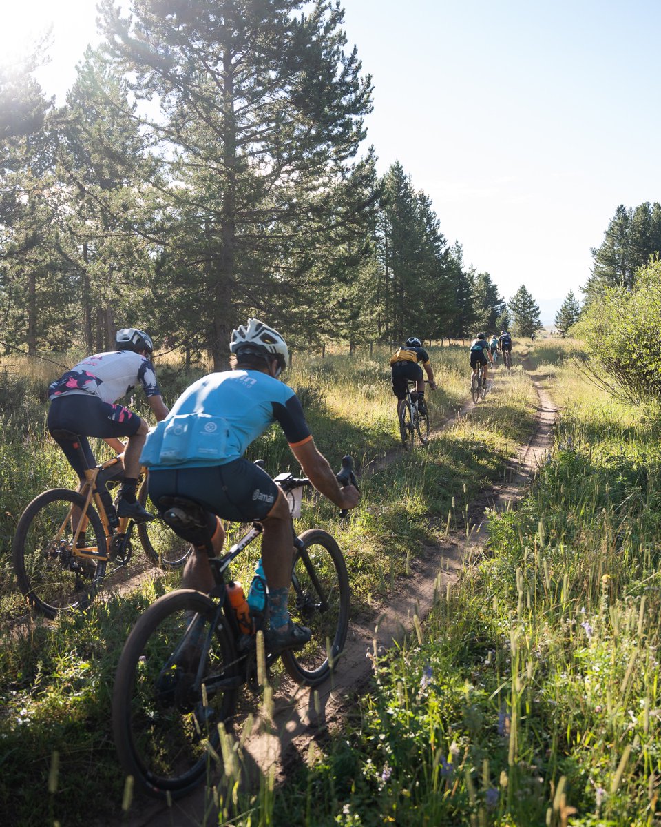 sbtgrvl's tweet photo. Our #SBTGRVL @Strava challenge is open to sign up. Cycle 142 miles 11/14-11/21 for a chance to win a @wahoofitness #ELEMNT Roam, @CastelliCycling kit, or a free race entry. Riders who complete the challenge will unlock a 20% discount on our webstore: https://t.co/4j1ucvKzTK https://t.co/SQAClHfDbA