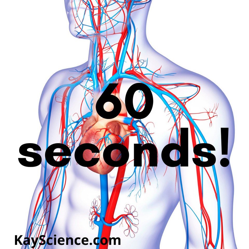 KayScience.com tweet media